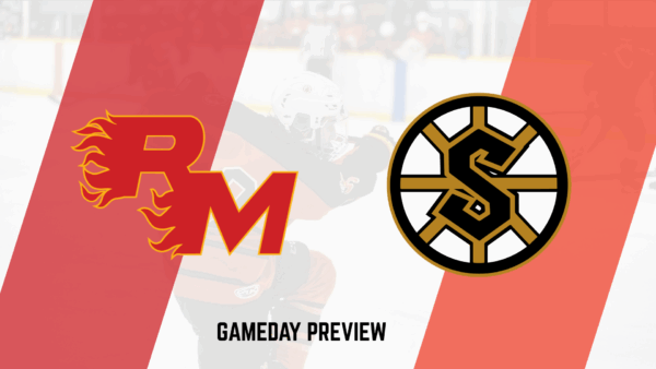GAME PREVIEW: FLAMES (24-12) VS STEELERS (11-23-0-3)